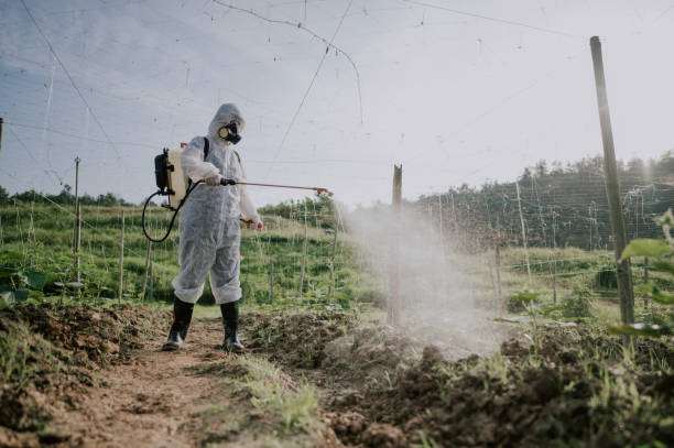 Best Affordable Pest Control Services  in Peralta, NM
