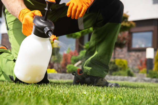 Best Pest Removal Services  in Peralta, NM