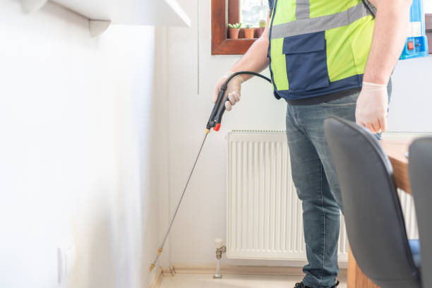 Best Wasp Removal Services  in Peralta, NM