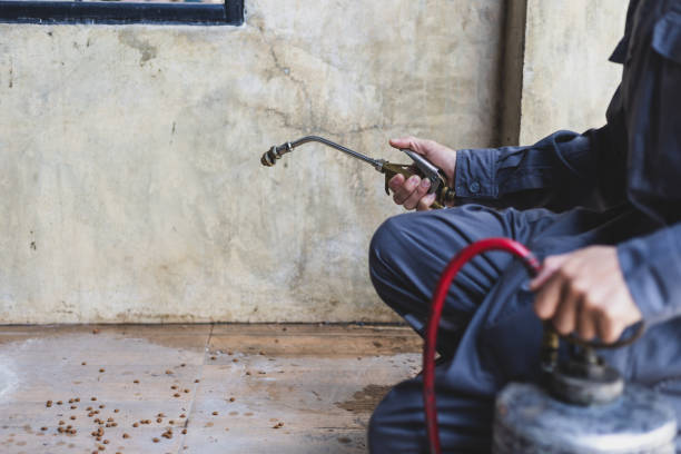 Best Commercial Pest Control Services  in Peralta, NM